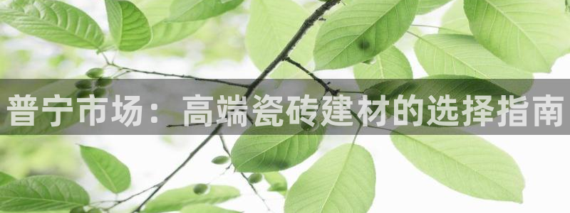 杏鑫平台代理注册多少钱一个