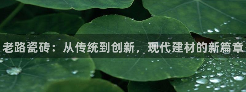 杏鑫平台野马联盟怎么样