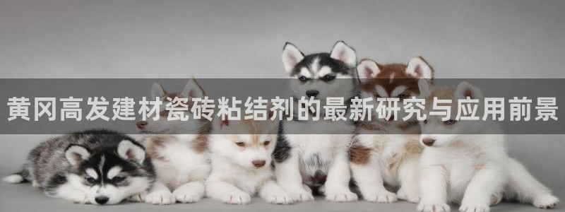 杏鑫官网注册账号是什么样的