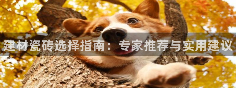 杏鑫注册登录地址