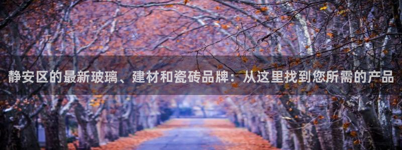 杏鑫娱乐负责人