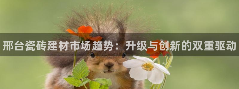 杏鑫平台注册登录