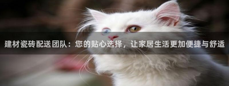 杏鑫官网注册账号怎么注册不了