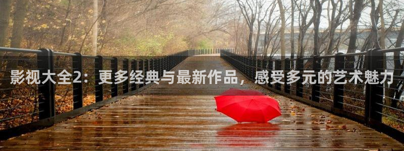丫丫影院免费观看电视剧丫丫6080：影视大全2：更多经典与最新作品，感受多元的艺术魅力