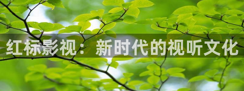 光棍影院丫丫：红标影视：新时代的视听文化