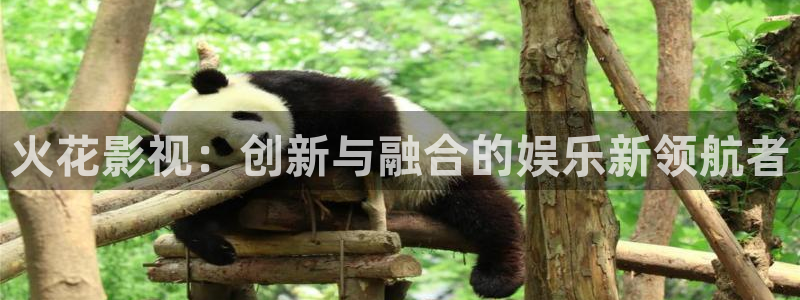 丫丫4480青苹果影院：火花影视：创新与融合的娱乐新领航者