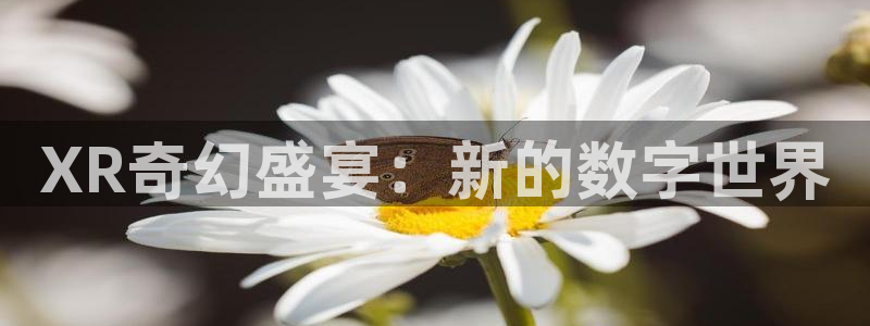 丫丫4410青苹果影院：XR奇幻盛宴：新的数字世界