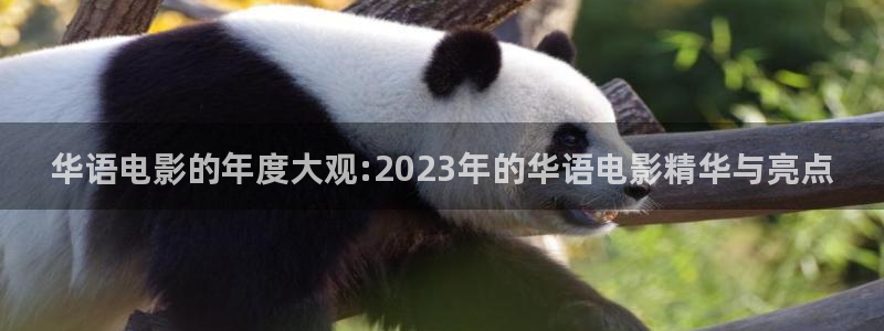 丫丫4410青苹果影院：华语电影的年度大观:2023年的华语电影精华与亮点