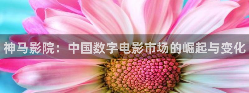 丫丫影院免费观看电影：神马影院：中国数字电影市场的崛起与变化