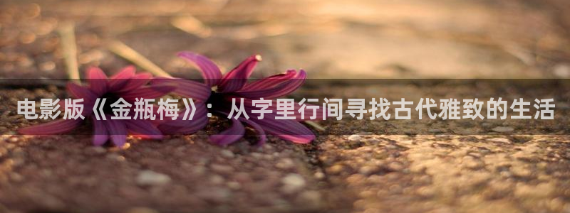 丫丫影视：电影版《金瓶梅》：从字里行间寻找古代雅致的生活