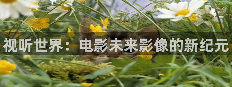 丫丫影院免费在线看电视剧：视听世界：电影未来影像的新纪元