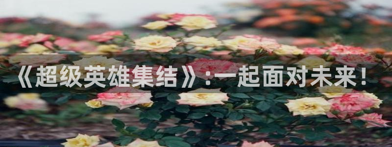 丫丫4410青苹果影院：《超级英雄集结》:一起面对未来！